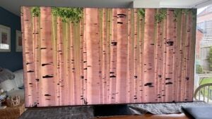 Samsung QE75QN900C